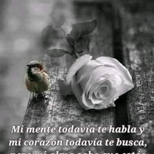 Meet your Posher, Al